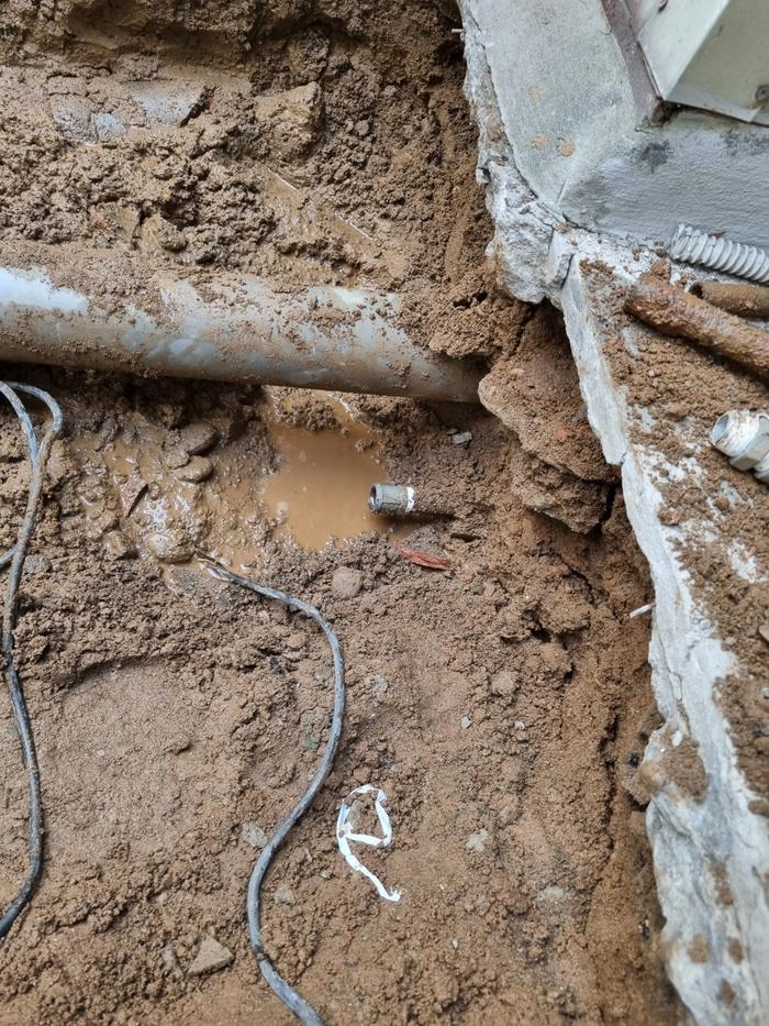 235149625_6IEp5PgJ_a09e7cf81a8fa8ab9f06798f345bb80df7c099e5.jpg 이미지크게보기