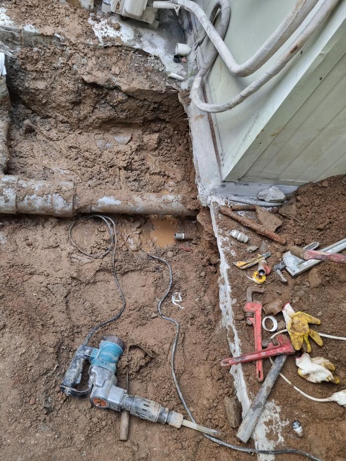 235149625_B3ixRS67_e567ef35196f012626ceb8b65e822bdaa9e793ab.jpg 이미지크게보기