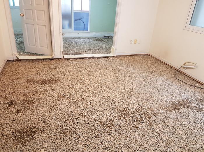 235149625_R1UC83LN_1b0e46ceb139bde80f618287f748f65722322428.jpg 이미지크게보기