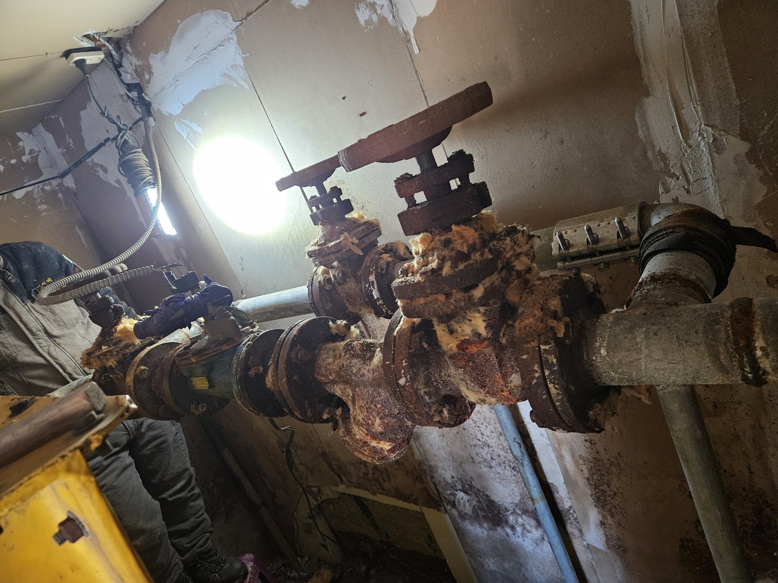 /user/t/taekwangsulbi/editor/2602/528628d74a1fb11cd032add5d635e989_1770088975_3419.jpg 이미지크게보기