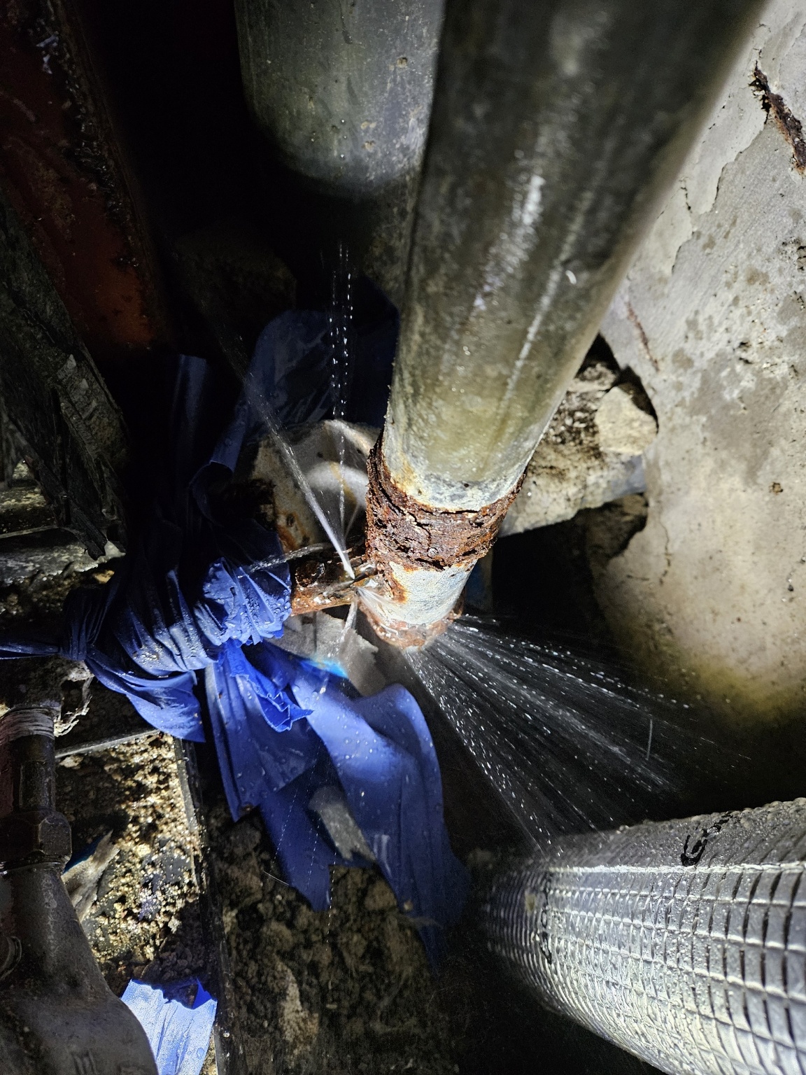 /user/t/taekwangsulbi/editor/2602/528628d74a1fb11cd032add5d635e989_1770088975_7019.jpg 이미지크게보기