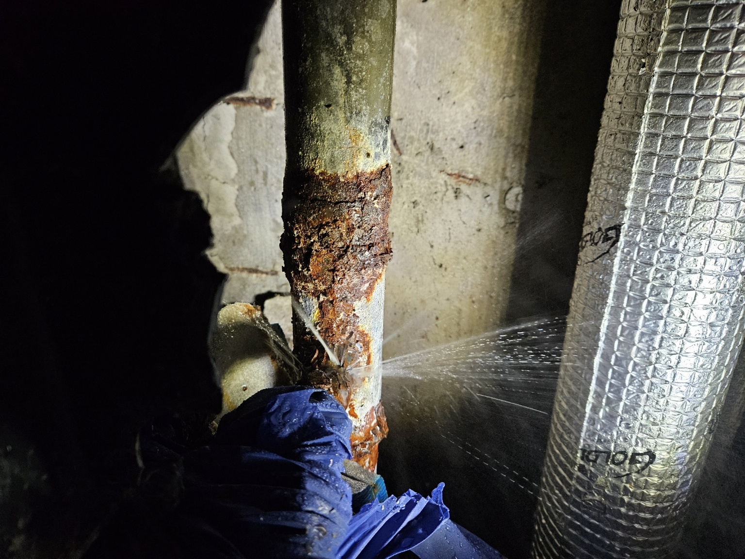 /user/t/taekwangsulbi/editor/2602/528628d74a1fb11cd032add5d635e989_1770088976_1192.jpg 이미지크게보기