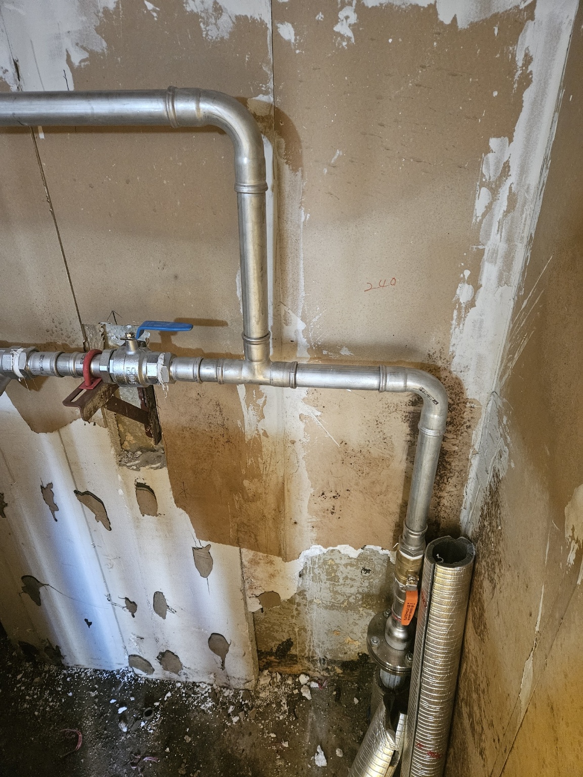 /user/t/taekwangsulbi/editor/2602/528628d74a1fb11cd032add5d635e989_1770088978_4542.jpg 이미지크게보기