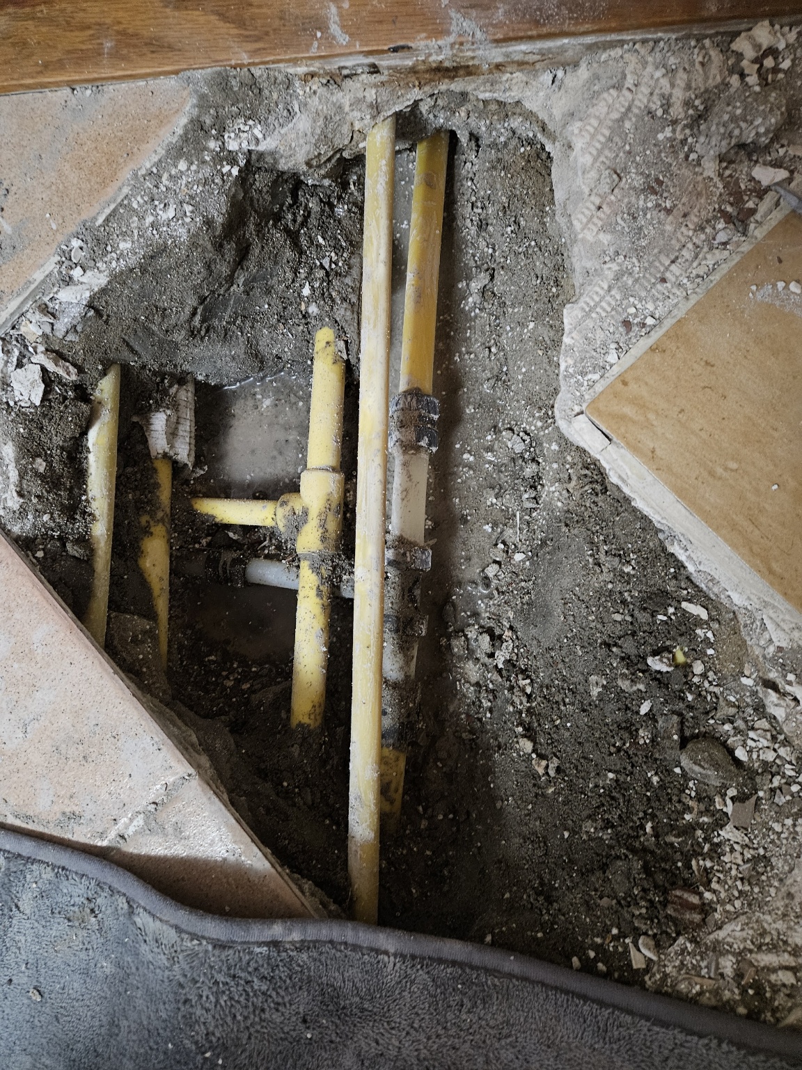 /user/t/taekwangsulbi/editor/2602/528628d74a1fb11cd032add5d635e989_1770089091_4946.jpg 이미지크게보기