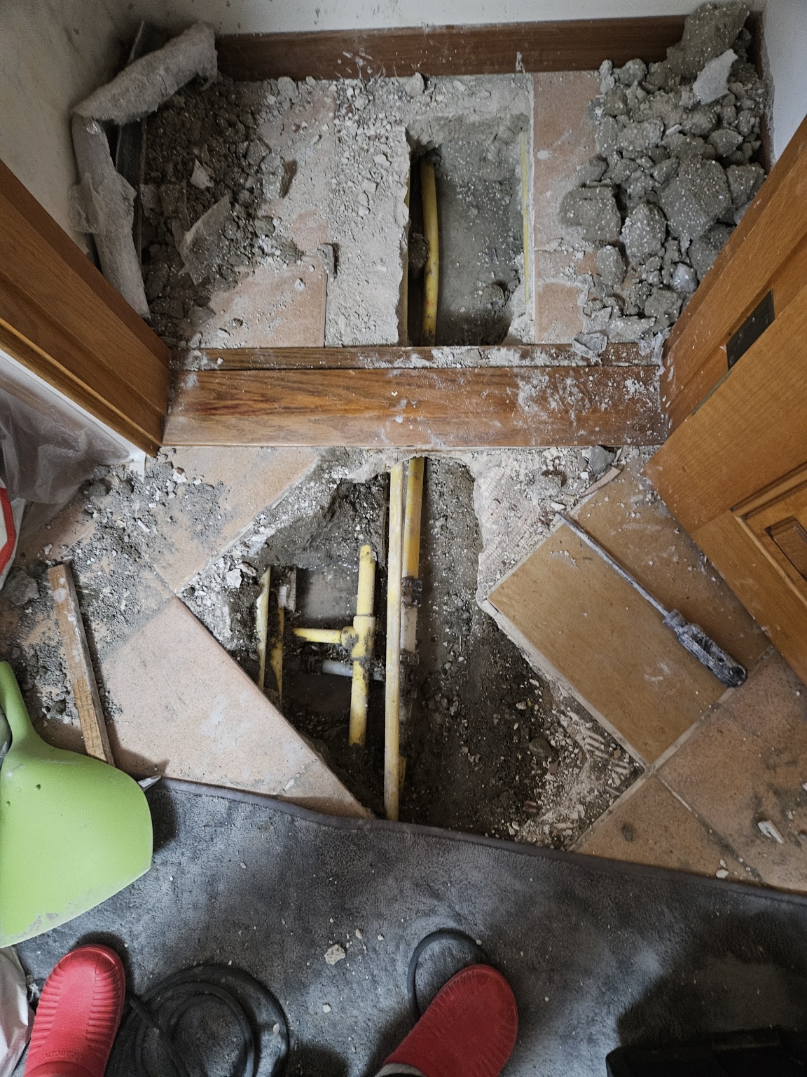 /user/t/taekwangsulbi/editor/2602/528628d74a1fb11cd032add5d635e989_1770089091_9336.jpg 이미지크게보기